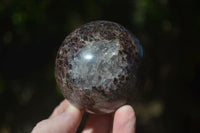 Polished Red Pyrope Garnet Matrix Spheres  x 6 From Madagascar