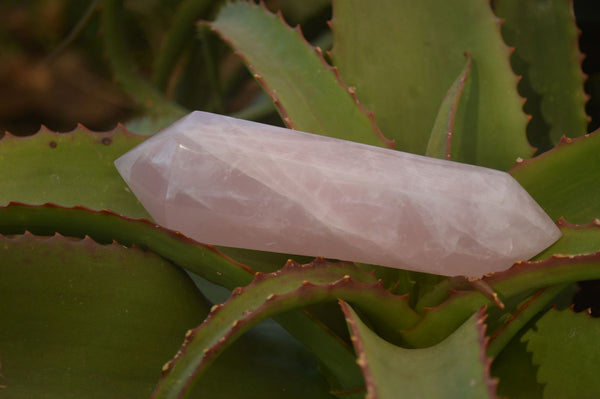 Polished Gemmy Double Terminated Rose Quartz Points x 4 From Ambatondrazaka, Madagascar