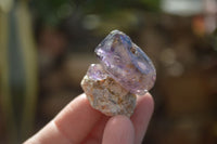 Natural Window Amethyst Crystals  x 12 From Chiredzi, Zimbabwe