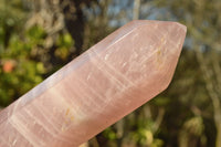 Polished Double Terminated Gemmy Pink Rose Quartz Points x 3 From Ambatondrazaka, Madagascar - TopRock