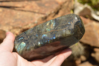 Polished Labradorite Standing Free Forms With Intense Blue & Gold Flash x 2 From Sakoany, Madagascar - TopRock