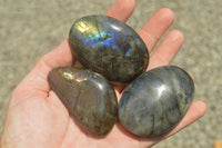 Polished Flashy Labradorite Palm Stones  x 24 From Tulear, Madagascar - TopRock