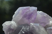 Natural Jacaranda Amethyst Clusters x 2 From Mumbwa, Zambia - TopRock