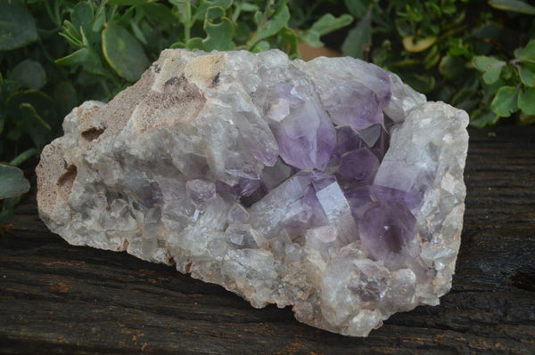 Natural Large Jacaranda Amethyst Vug Specimen  x 1 From Mumbwa, Zambia - TopRock