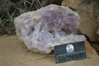 Natural Jacaranda Amethyst Cluster x 1 From Mumbwa, Zambia - TopRock