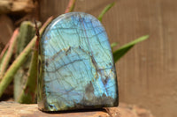 Polished Labradorite Standing Free Form With A Full Face Flash x 1 From Tulear, Madagascar - TopRock