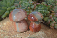 Polished Mini Polychrome / Picasso Jasper Mushrooms  x 20 From Mahajanga, Madagascar