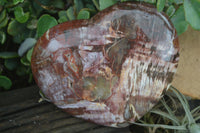 Polished Extra Large Petrified Red Podocarpus Wood Heart  x 1 From Mahajanga, Madagascar - Toprock Gemstones and Minerals 