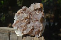 Natural Red Hematoid Quartz Cluster x 1 From Karoi, Zimbabwe - Toprock Gemstones and Minerals 