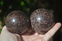 Polished Red Pyrope Garnet Matrix Spheres  x 6 From Madagascar