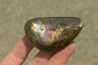 Polished Flashy Labradorite Palm Stones  x 24 From Tulear, Madagascar - TopRock