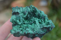 Natural Chatoyant Silky Malachite Specimens  x 6 From Kasompe, Congo - Toprock Gemstones and Minerals 