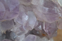 Natural Jacaranda Amethyst Cluster x 1 From Mumbwa, Zambia - TopRock