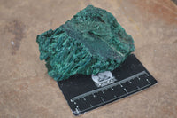 Natural Chatoyant Silky Malachite Specimens  x 2 From Congo - Toprock Gemstones and Minerals 