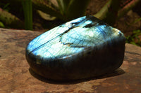 Polished Labradorite Standing Free Form With A Full Face Flash x 1 From Tulear, Madagascar - TopRock