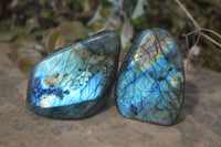 Polished Labradorite Standing Free Forms  x 6 From Madagascar