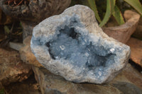 Natural Blue Celestite Geode Specimen  x 1 From Sakoany, Madagascar