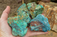 Natural Rough Blue Shattuckite Specimens  x 12 From Kaokoveld, Namibia - TopRock