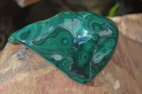 Polished Flower Malachite Free Forms  x 6 From Congo