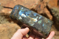 Polished Labradorite Standing Free Forms With Intense Blue & Gold Flash x 2 From Sakoany, Madagascar - TopRock