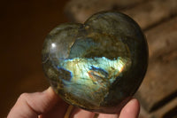 Polished  Puffy Labradorite Gemstone Hearts  x 2 From Tulear, Madagascar