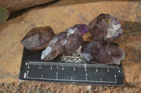 Natural Window Amethyst Crystal Specimens  x 12 From Chiredzi, Zimbabwe