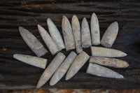 Natural Belemnite Fossil "Bullets" x 70 From Maintirano, Madagascar - TopRock