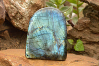 Polished Labradorite Standing Free Form With A Full Face Flash x 1 From Tulear, Madagascar - TopRock