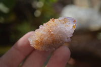 Natural Spirit Ametrine Quartz Crystals x 20 From Boekenhouthoek, South Africa