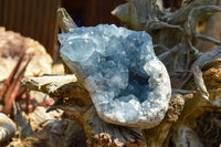 Natural Blue Celestite Geode Specimens  x 2 From Sakoany, Madagascar - TopRock