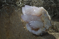 Natural Spirit Amethyst / Ametrine Quartz Clusters  x 6 From Boekenhouthoek, South Africa - Toprock Gemstones and Minerals 