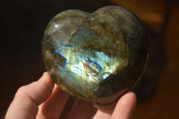 Polished  Puffy Labradorite Gemstone Hearts  x 2 From Tulear, Madagascar