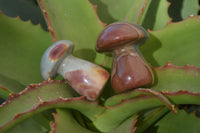 Polished Mini Polychrome / Picasso Jasper Mushrooms  x 20 From Mahajanga, Madagascar