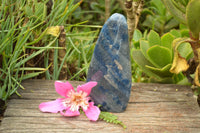 Polished Blue Spotted Spinel "Dalmatian Stone" Standing Free Form x 1 From Madagascar - TopRock