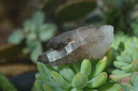 Natural Window Amethyst Crystals  x 12 From Chiredzi, Zimbabwe