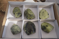 Polished Leopard Stone Standing Free Forms x 6 From Zimbabwe