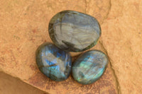 Polished Flashy Labradorite Palm Stones  x 24 From Tulear, Madagascar - TopRock