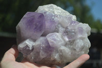 Natural Jacaranda Amethyst Clusters x 2 From Mumbwa, Zambia - TopRock