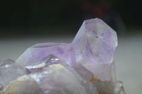 Natural Jacaranda Amethyst Clusters  x 3 From Mumbwa, Zambia - Toprock Gemstones and Minerals 