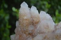 Natural Spirit Amethyst Quartz Clusters  x 2 From Boekenhouthoek, South Africa - Toprock Gemstones and Minerals 