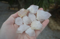 Natural White Cactus Spirit Quartz Crystals  x 3.6 Kg Lot From Boekenhouthoek, South Africa - Toprock Gemstones and Minerals 