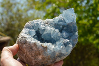 Natural Blue Celestite Geode Specimens  x 2 From Sakoany, Madagascar - TopRock