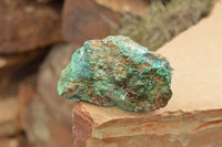 Natural Rough Blue Shattuckite Specimens  x 12 From Kaokoveld, Namibia - TopRock