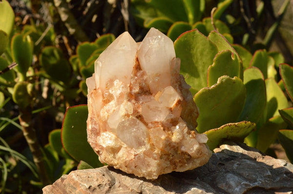 Natural Tangerine Quartz Clusters With Large Crystals  x 3 From Madagascar - TopRock