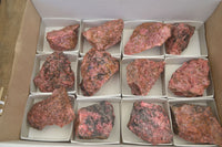 Natural Rough Red Rhodonite Specimens  x 12 From Zimbabwe