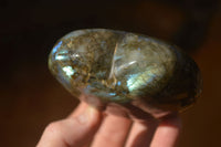 Polished  Puffy Labradorite Gemstone Hearts  x 2 From Tulear, Madagascar