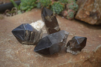 Natural Smokey Quartz Crystals x 4 From Malawi