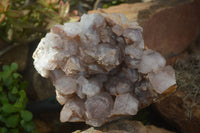 Natural Red Hematoid Quartz Cluster x 1 From Karoi, Zimbabwe - Toprock Gemstones and Minerals 