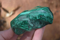 Polished Flower Malachite Free Forms  x 6 From Congo