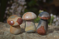 Polished Mini Polychrome / Picasso Jasper Mushrooms  x 20 From Mahajanga, Madagascar